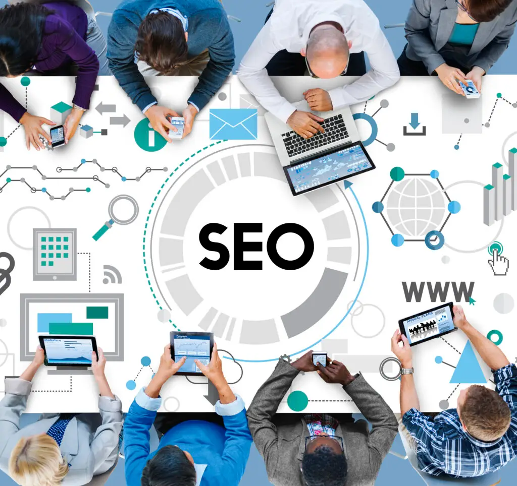 professional SEO services types infographic
